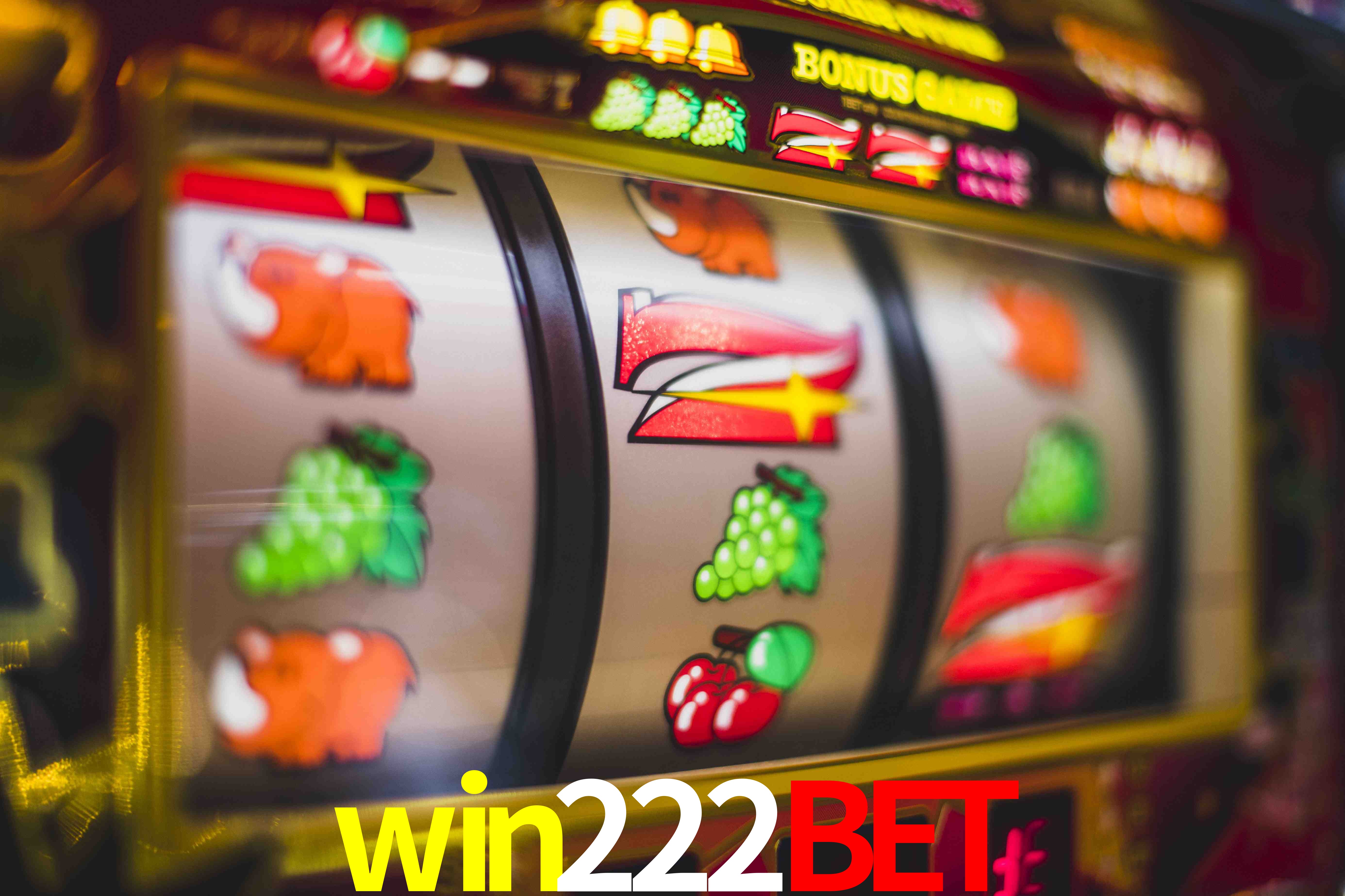 Sports Statistics win222bet